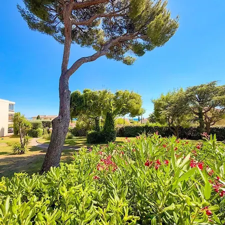 T2 Avec Terrasse A